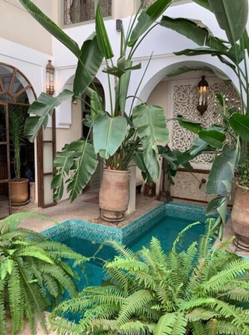 Riad Palacio De Las Especias - Oda
