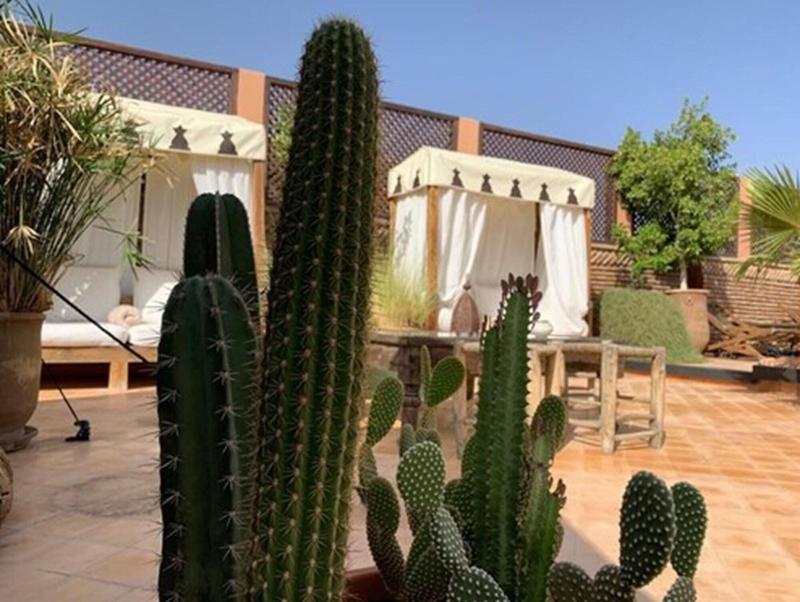 Riad Palacio De Las Especias - Teras