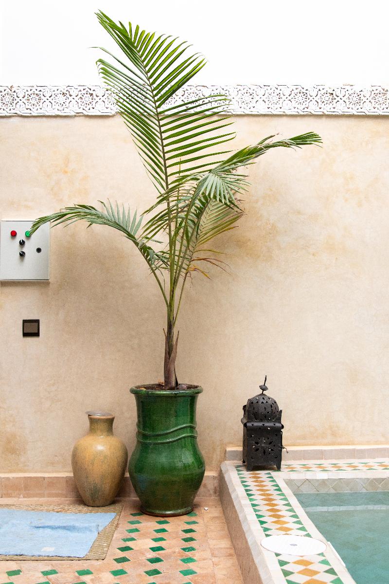 Riad Amegrad hotel - Oda