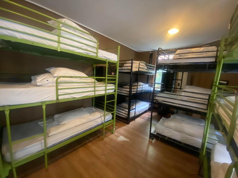 Phoenix Hostel - Genel
