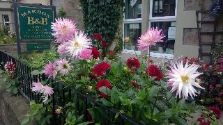 Mardon Guest House fotoÄŸrafÄ±