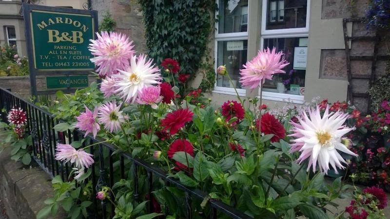Mardon Guest House - Genel