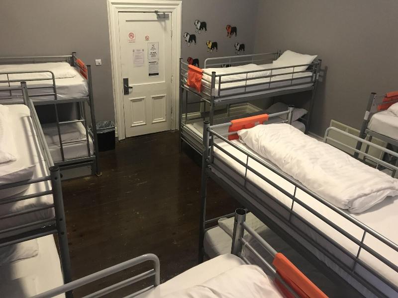 Albatross Hostel - Oda