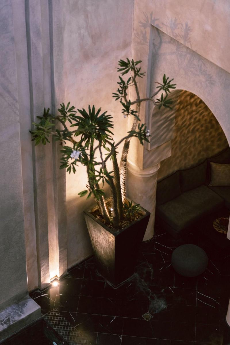 Riad K - Teras