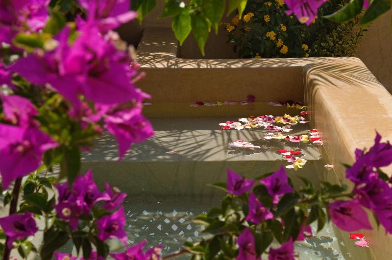 Marrakech Riad - Aktivite