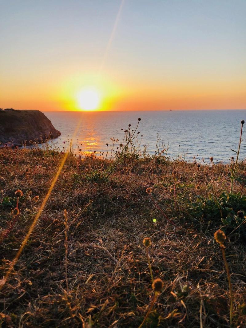Cherry Tree Hotel - Genel