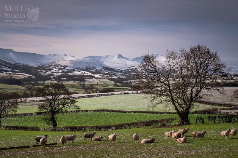 Mill Lodge Brecon Beacons - Genel