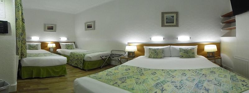 Falcon Hotel - Oda