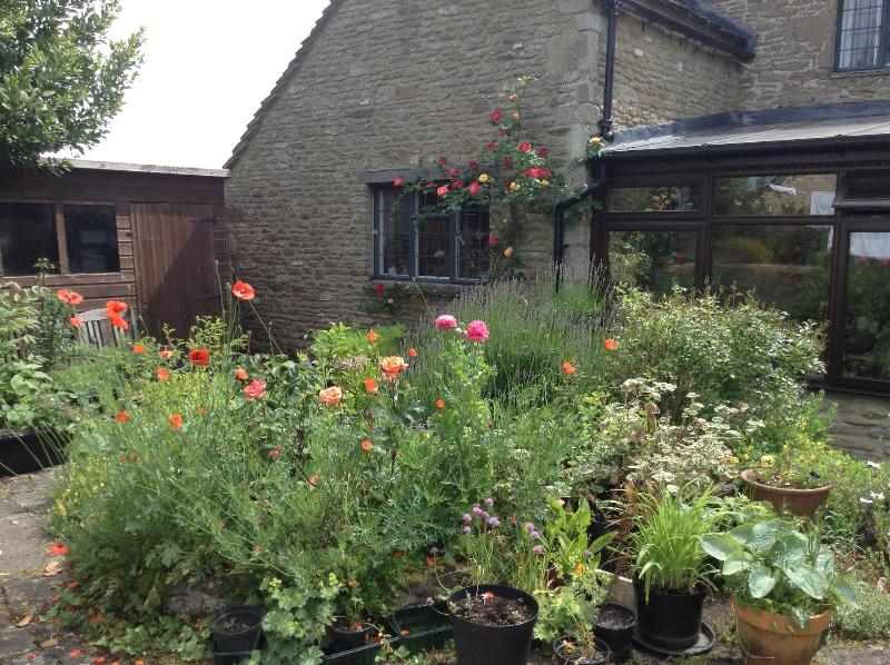 189 April Cottage - Genel