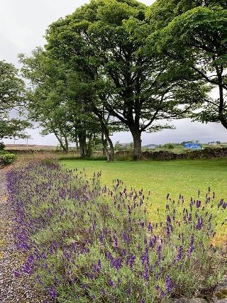 Crawfield Grange fotoÄŸrafÄ±