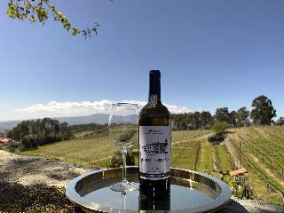 Quinta Da Estrada Winery Douro Valley fotoÄŸrafÄ±