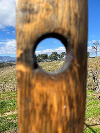 Quinta Da Estrada Winery Douro Valley fotoÄŸrafÄ±