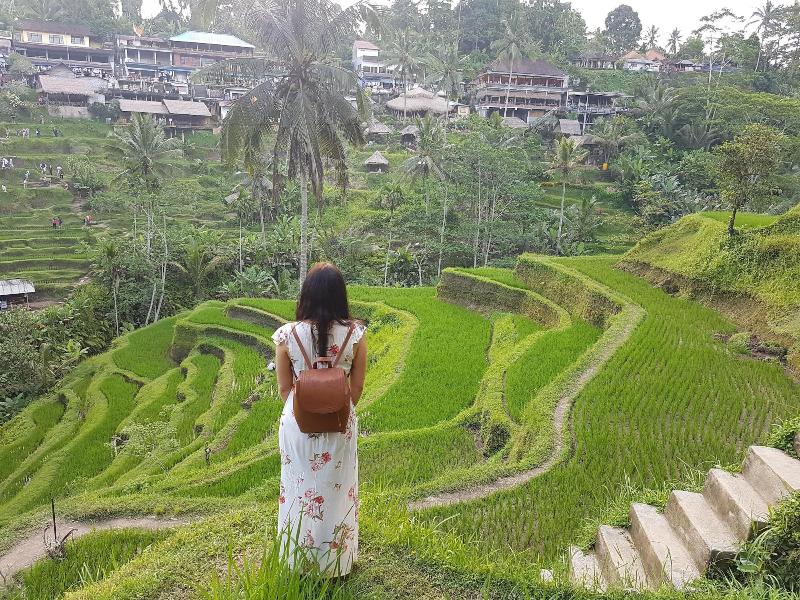 Buda Cottage Ubud - Genel