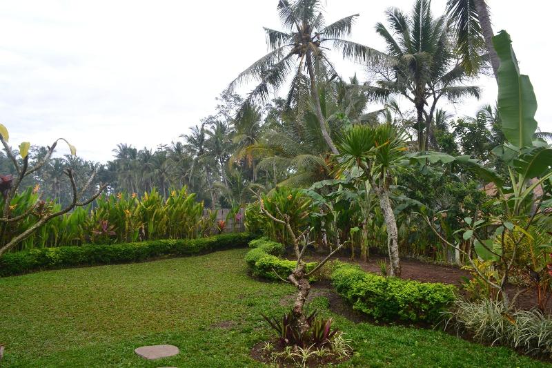 Buda Cottage Ubud - Genel