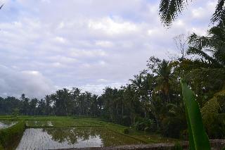 Buda Cottage Ubud fotoÄŸrafÄ±