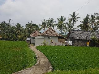 Buda Cottage Ubud fotoÄŸrafÄ±