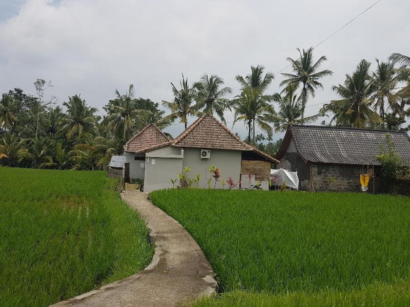 Buda Cottage Ubud - Genel