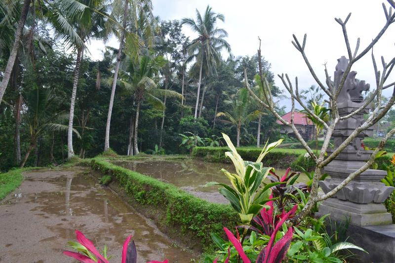 Buda Cottage Ubud - Genel
