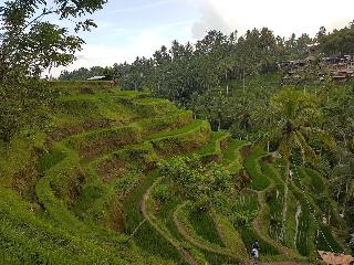 Buda Cottage Ubud fotoÄŸrafÄ±