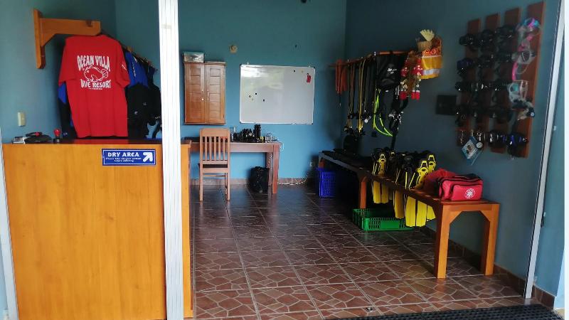 Ocean Villa Dive Resort Tulamben - Aktivite