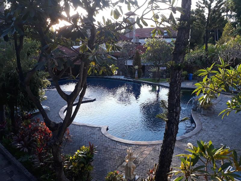Puri Bali Lovina - Aktivite