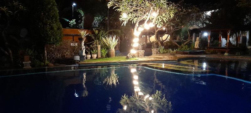 Puri Bali Lovina - Aktivite