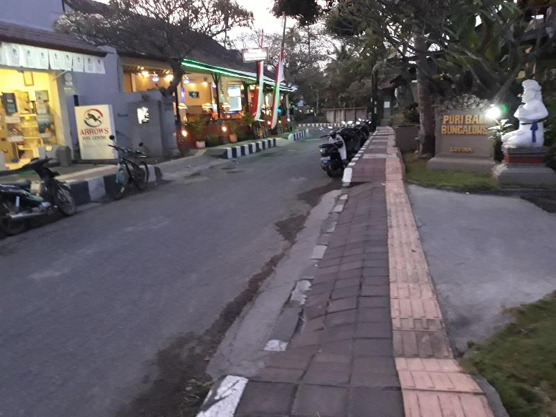 Puri Bali Lovina - Genel