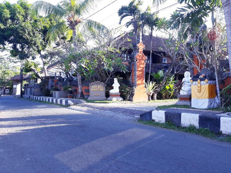 Puri Bali Lovina - Genel