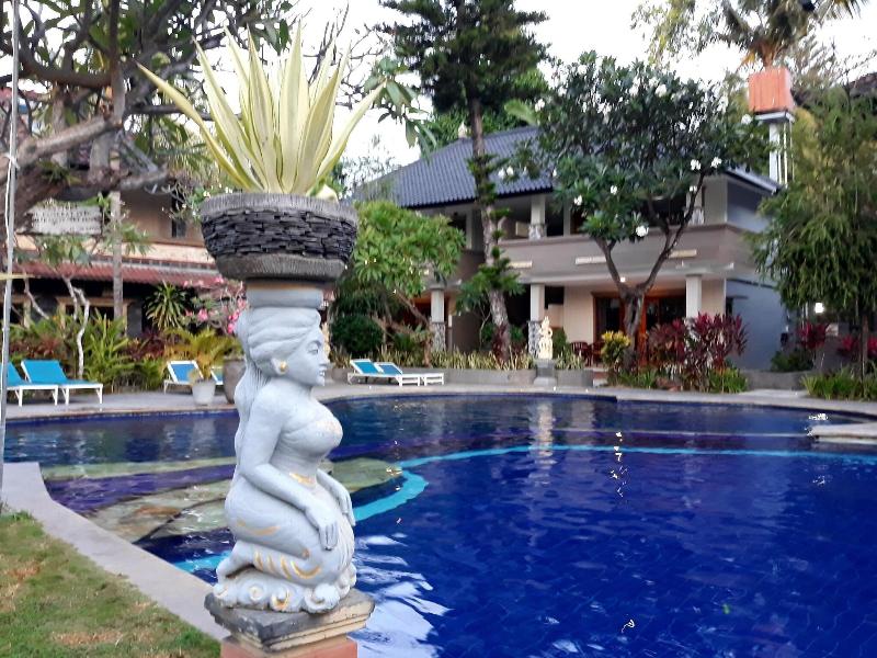Puri Bali Lovina - Havuz