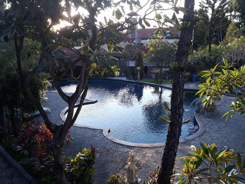 Puri Bali Lovina - Havuz