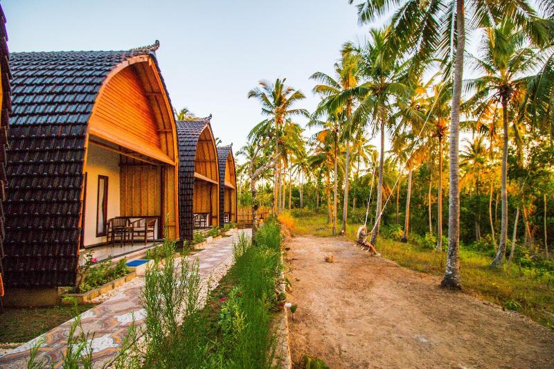 Meket Bungalows - Aktivite