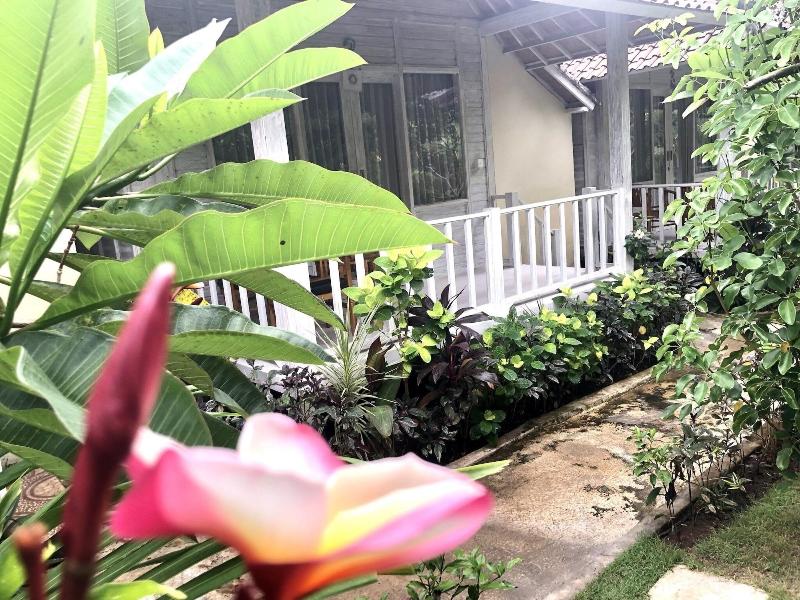 The Lucky Cottage - Genel