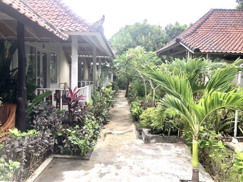 The Lucky Cottage - Genel