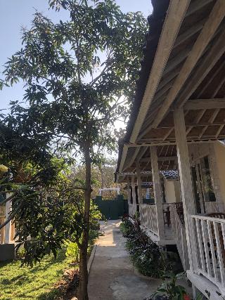 The Lucky Cottage fotoÄŸrafÄ±