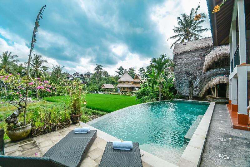 Le Sabot Ubud - Aktivite