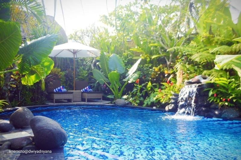 Gopala Luxury Villa Ubud - Aktivite