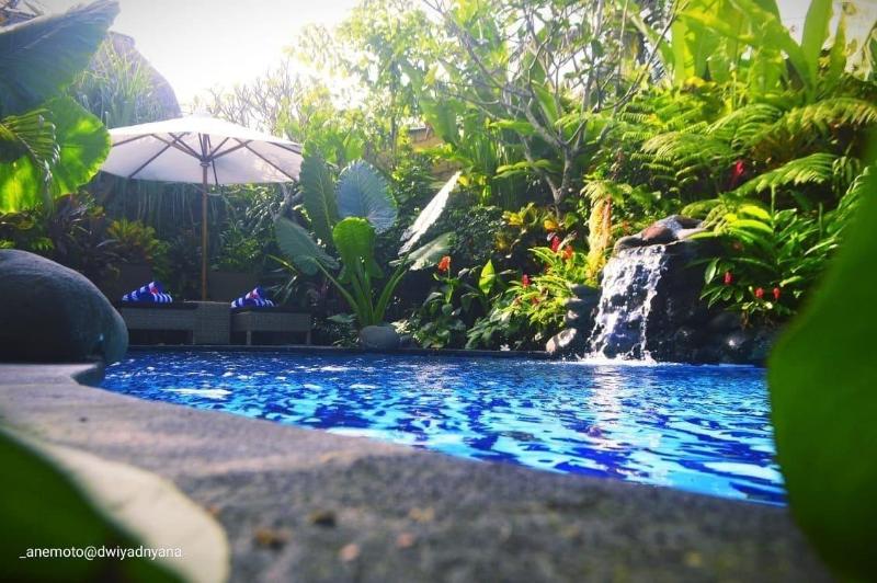 Gopala Luxury Villa Ubud - Aktivite