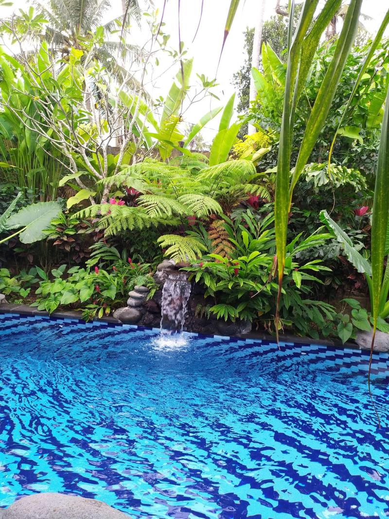 Gopala Luxury Villa Ubud - Aktivite