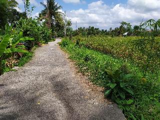 Gopala Luxury Villa Ubud fotoÄŸrafÄ±