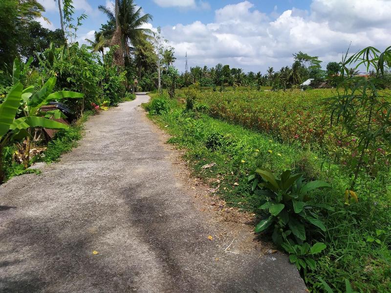 Gopala Luxury Villa Ubud - Aktivite