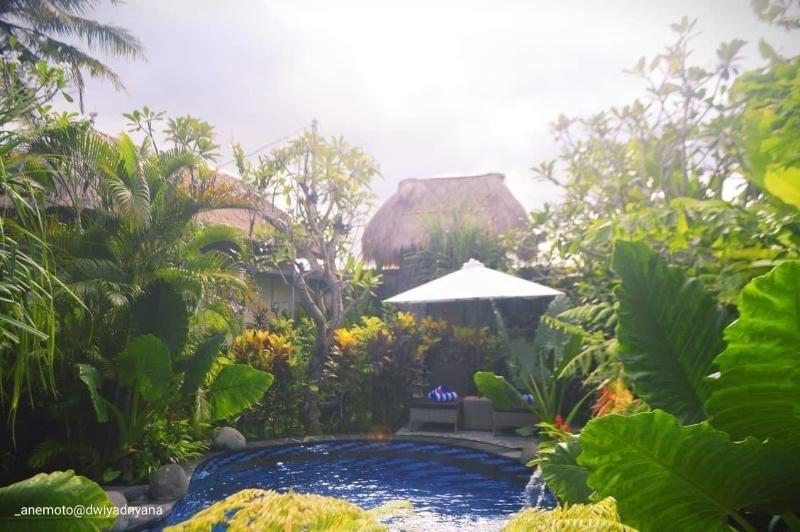 Gopala Luxury Villa Ubud - Genel