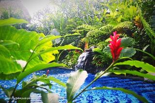 Gopala Luxury Villa Ubud fotoÄŸrafÄ±