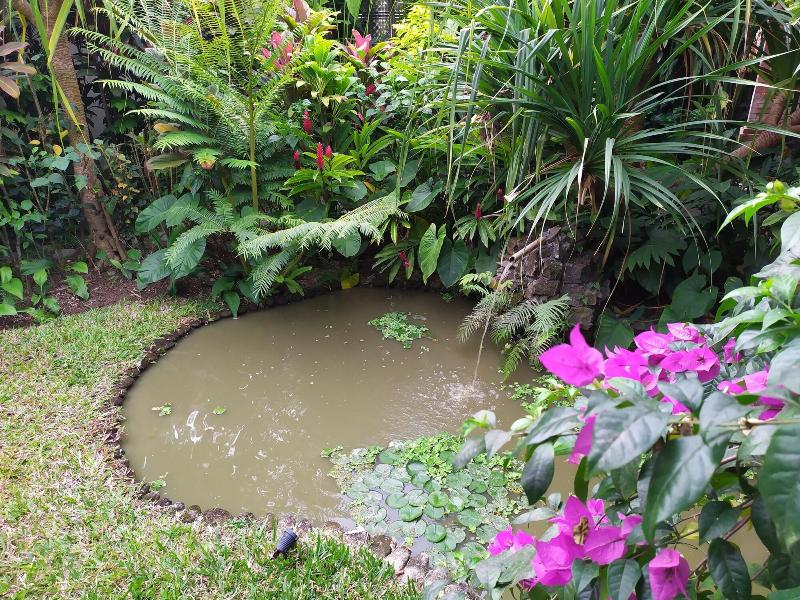 Gopala Luxury Villa Ubud - Oda
