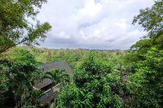 Sunrise Villa Ubud fotoÄŸrafÄ±