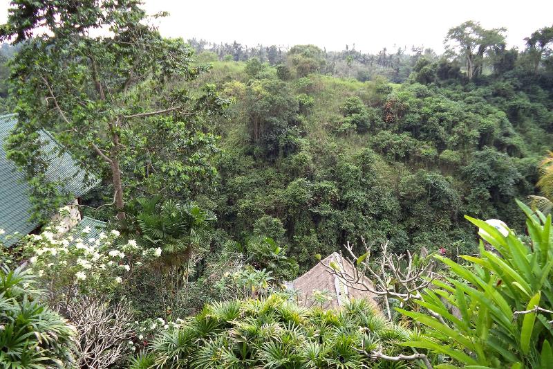 Sunrise Villa Ubud - Oda