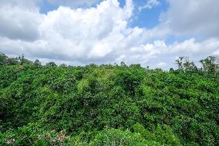 Sunrise Villa Ubud fotoÄŸrafÄ±