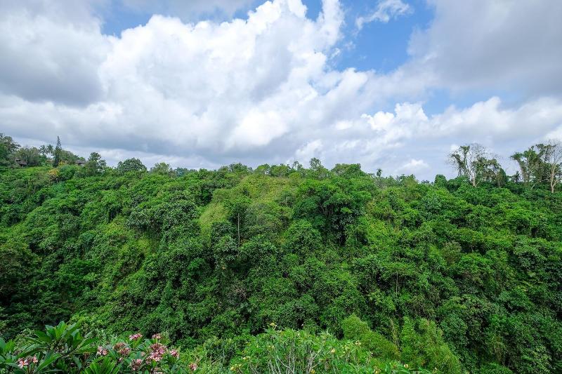 Sunrise Villa Ubud - Oda