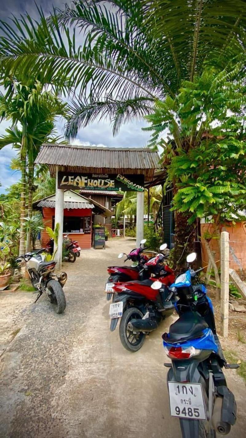 Leaf House Bungalow Hostel - Lobi