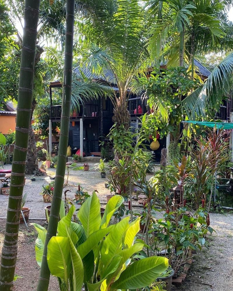 Leaf House Bungalow Hostel - Genel