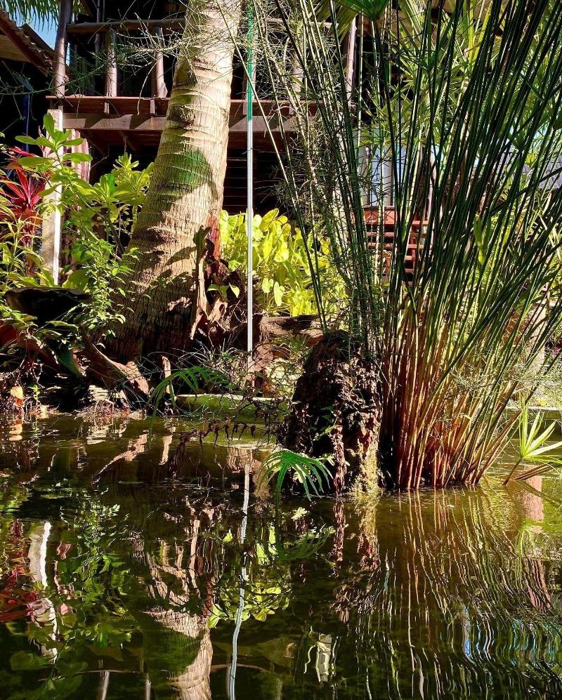 Leaf House Bungalow Hostel - Genel